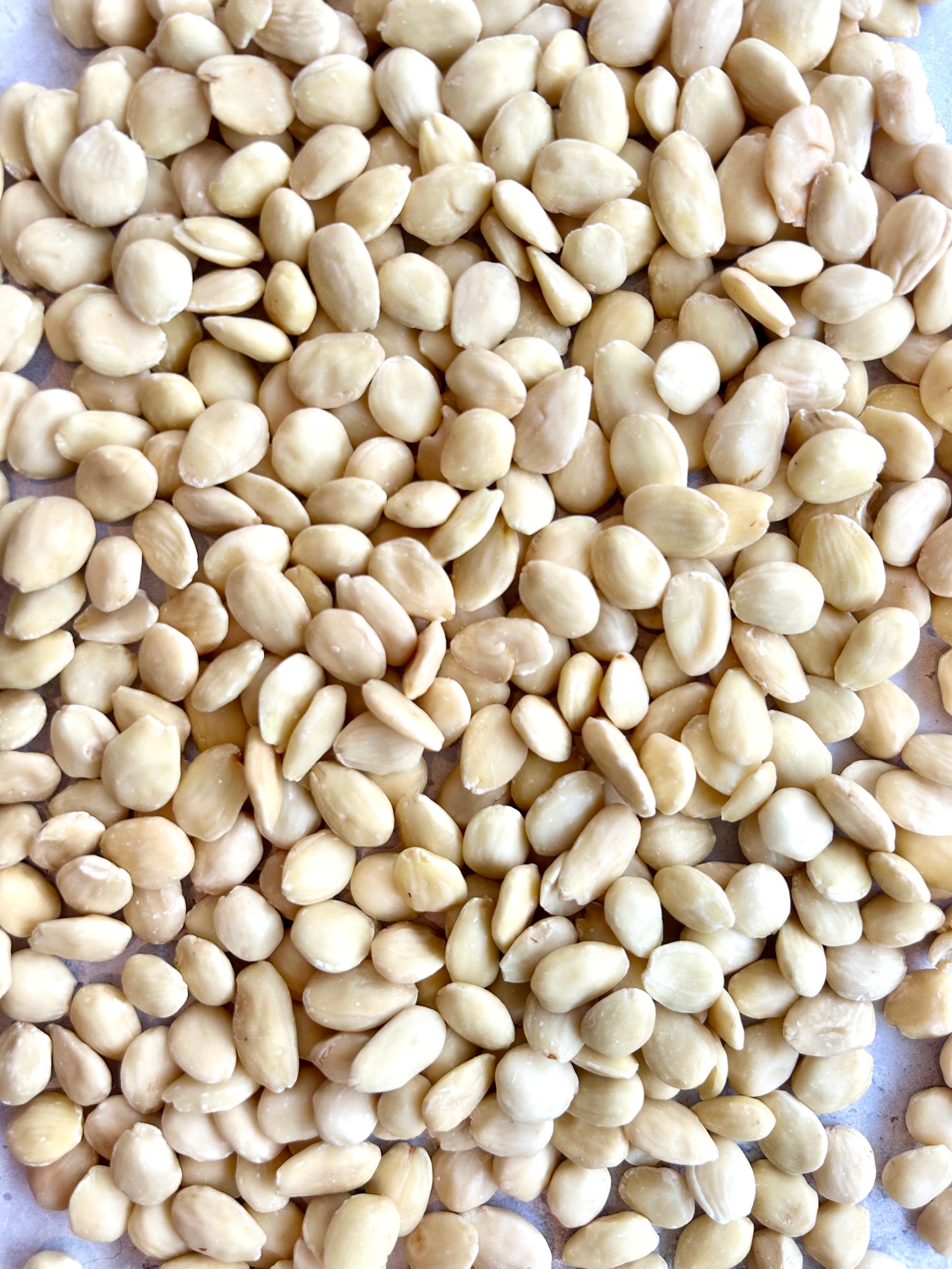 Valencia mandler ØKO, 500 g (uden hinde)