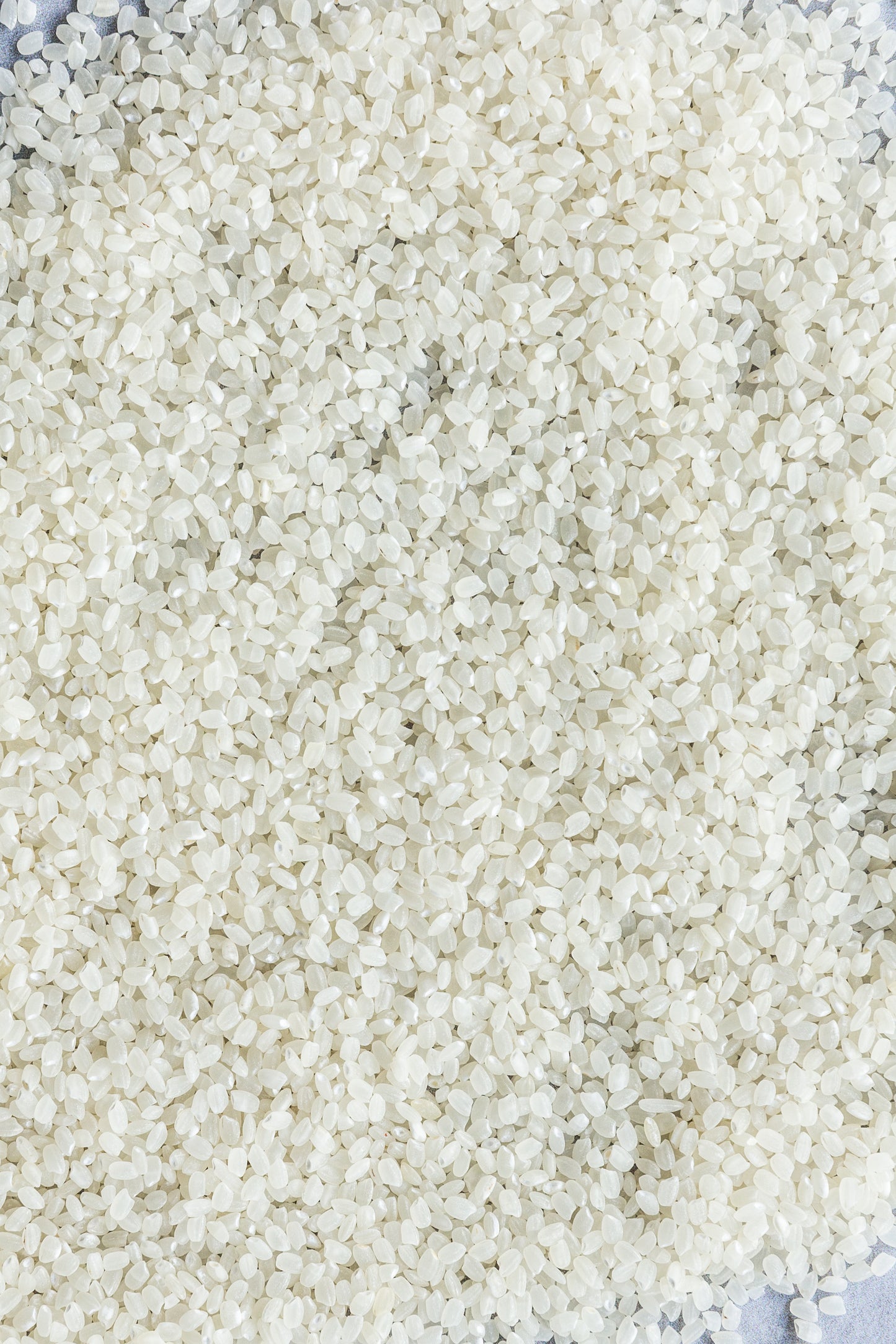 Italian porridge rice, 1 kg